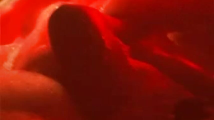 1 - video by RaiArgand cam model