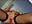 Squirt on the face - video by Black-Mamba- cam model