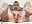 Masturbation Until Cum - video by jannemary cam model