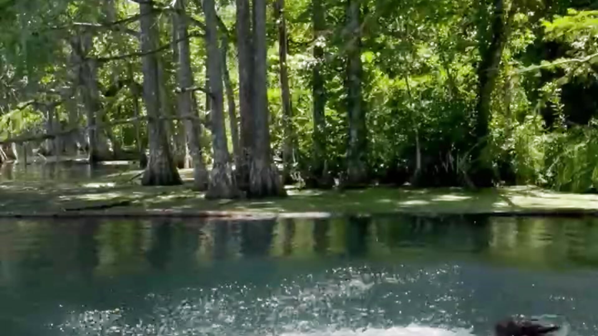 Jumping in the blue spring naked!! Oh so cold!! Lots of gasping - video by pixieandsilvio