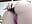 Anal Doggy Close up - Video von Anna_Joness Cam-Model