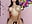 litte ride and domi - video by Chiqui_cute cam model