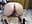 no nylon/// mules + sexy poses - clip cu ammarahot7777
