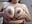 boobs job - clip cu ammarahot7777