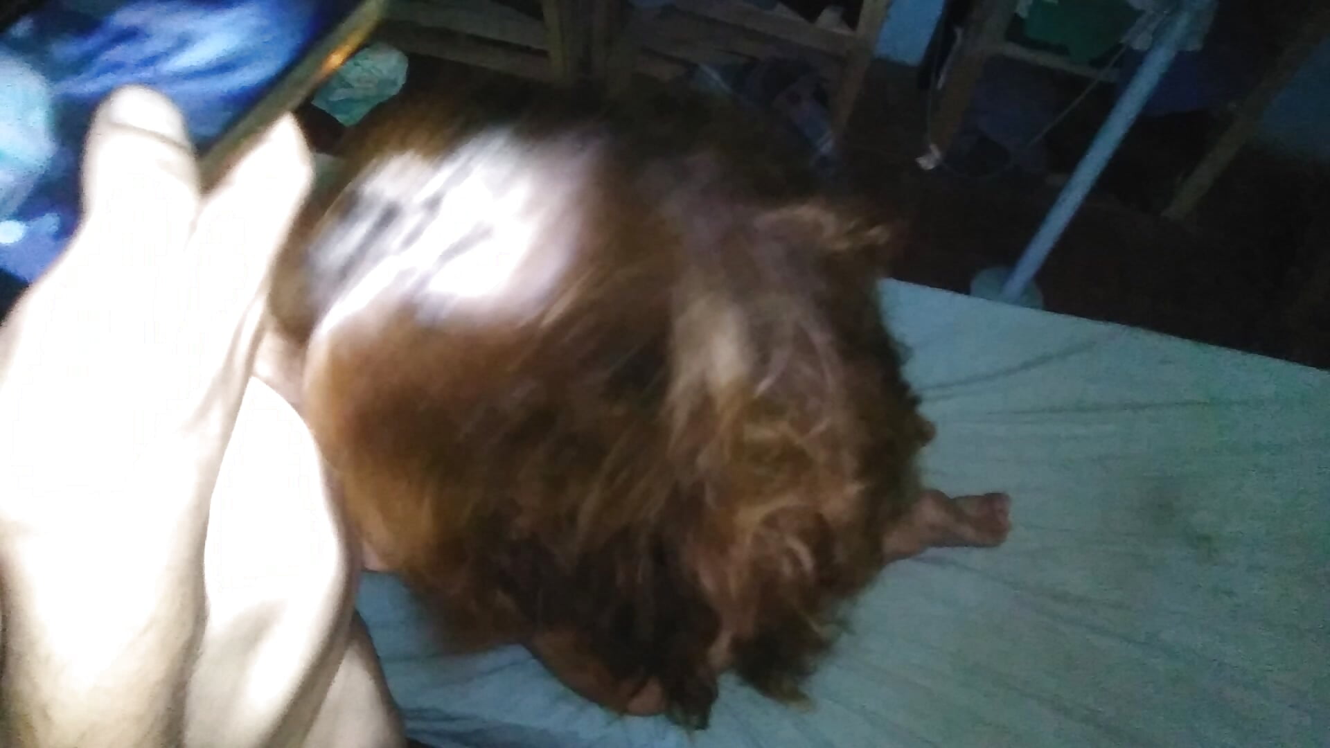 Archivo 11 (5) - Video von Fitcure1 Cam-Model