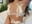 Bride lingerie - video by house_of_the_dragon cam model