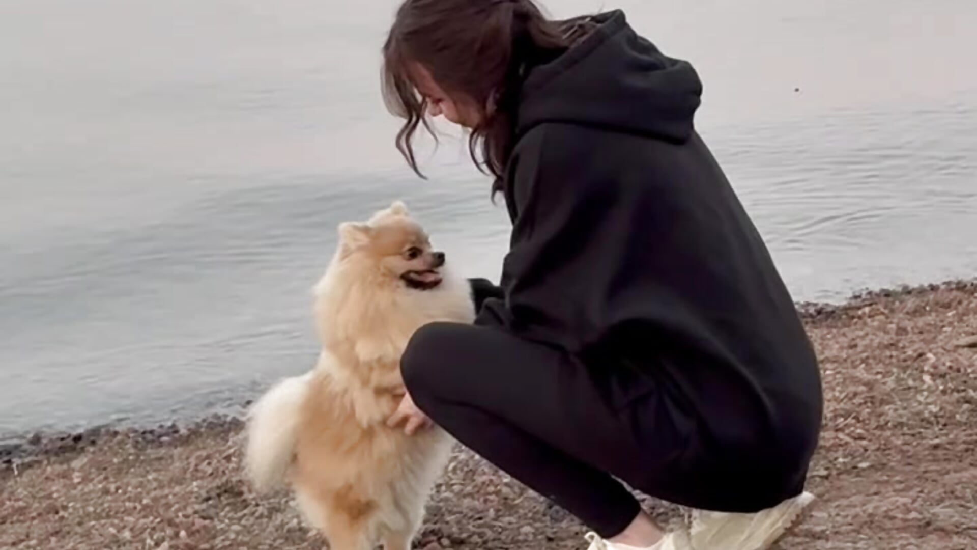 A walk with a loyal friend