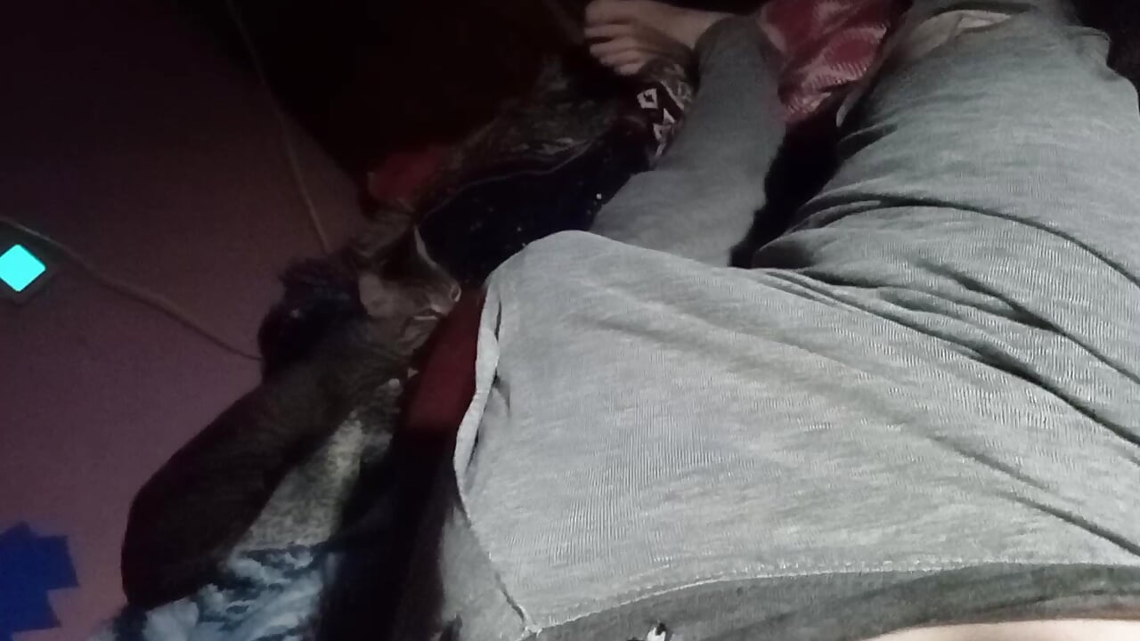 profile-intro-video-1744019660 – video af KittyDaemon