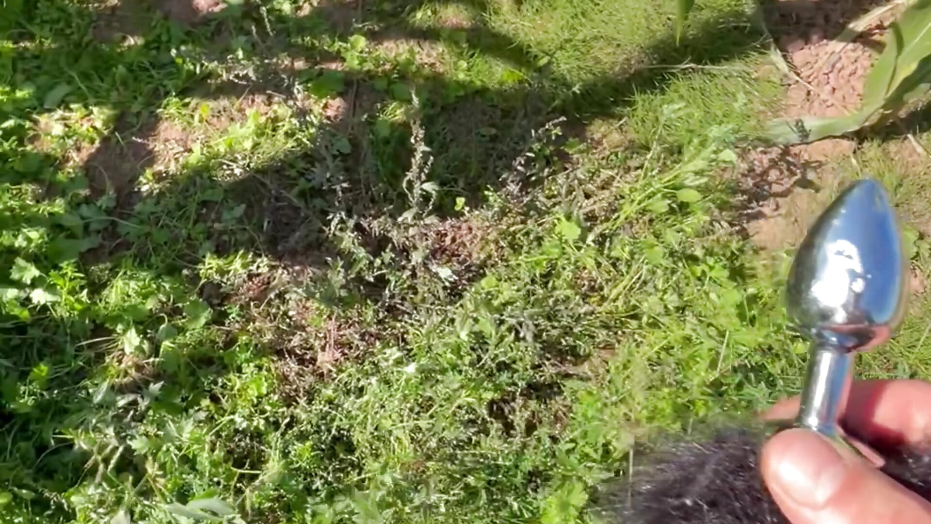 Fox Plug - video by Adrena_Lina999 cam model