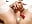 [20 May 08:30] Private Show - video by Sweet-Alice cam model