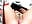 [1 Jun 22:11] Private Show - video by Sweet-Alice cam model