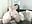 [16 Nov 11:10] Private Show - video by Curvy_bigtitts cam model