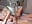 MASSAGE OIL SEX - video by hotsuckcouple cam model