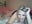 1st pvt on site masturbation no toys - video by LittleMissEeve cam model