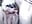 [26 Jan 13:25] Private Show - Video von Siberia-Taiga Cam-Model
