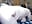 [26 Jan 14:10] Private Show - Video von Siberia-Taiga Cam-Model