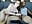 Backseat Creampie - video by MaggyMayI cam model
