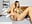 cum show - video by hotsuckcouple cam model